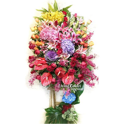 GO6981 Congratulation Flower Basket